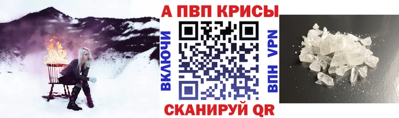 omg ТОР  Дигора  А ПВП СК КРИС 