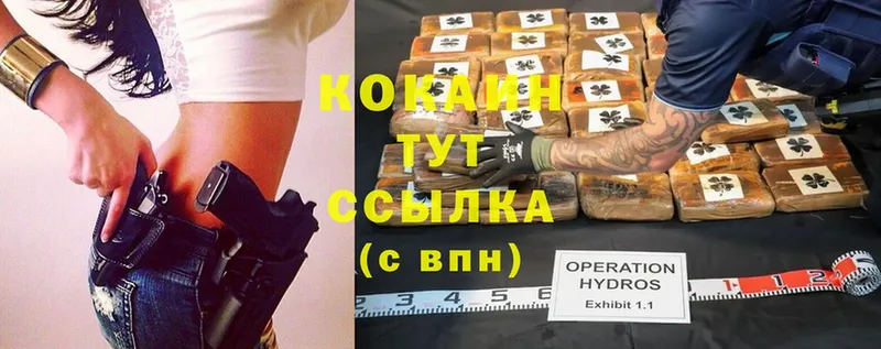 Cocaine Эквадор  магазин    Дигора 