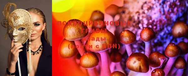 каннабис Беломорск