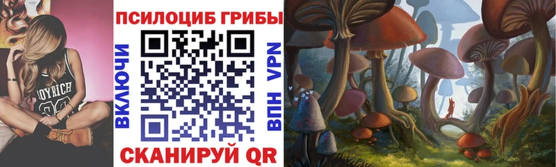 Псилоцибиновые грибы Psilocybe  Дигора 
